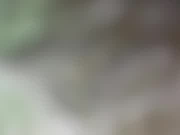 BWC🇮🇹🇺🇸🍆💦